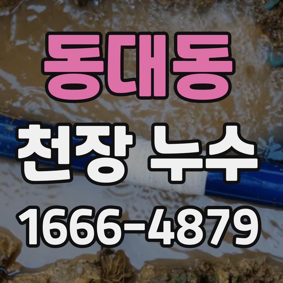 동대동 천장 누수