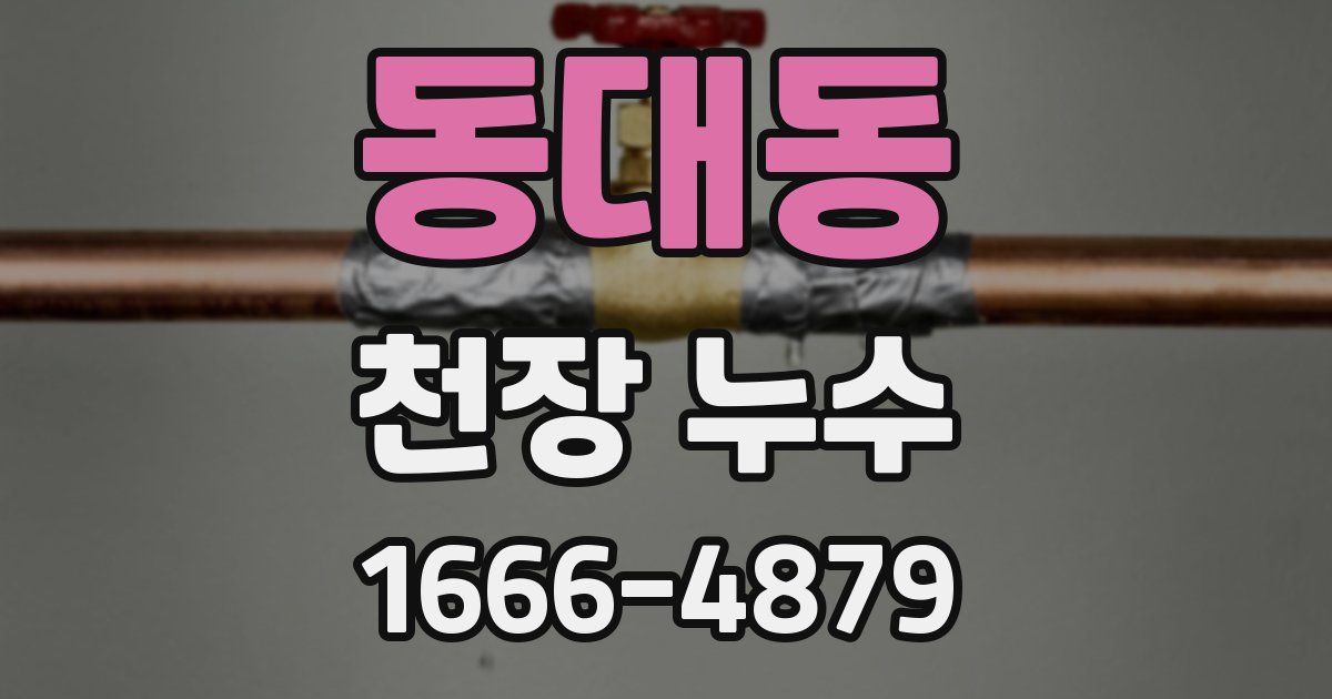 동대동 천장 누수