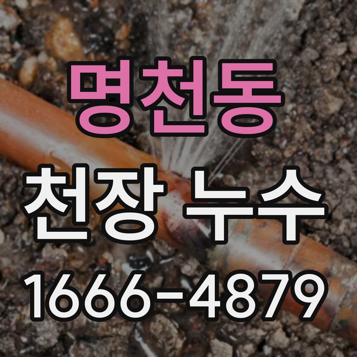 명천동 천장 누수
