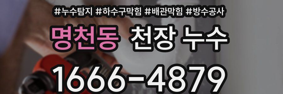 명천동 천장 누수