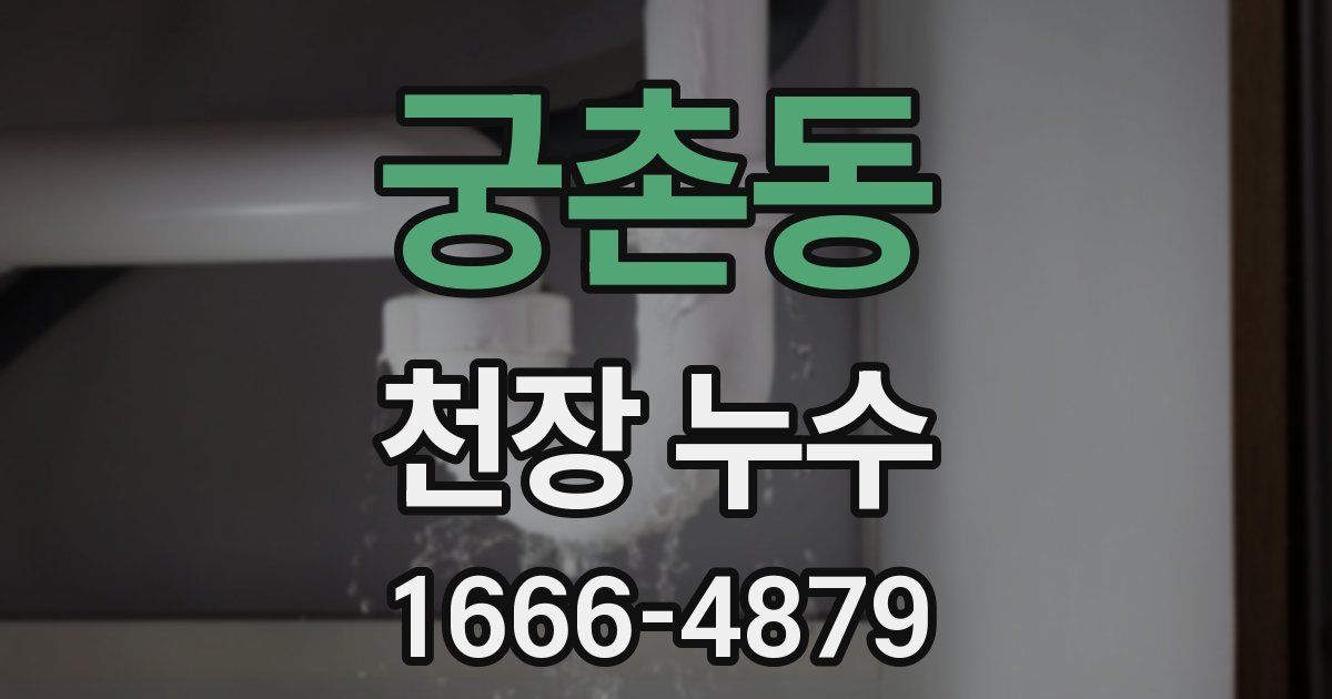 궁촌동 천장 누수