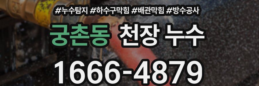 궁촌동 천장 누수