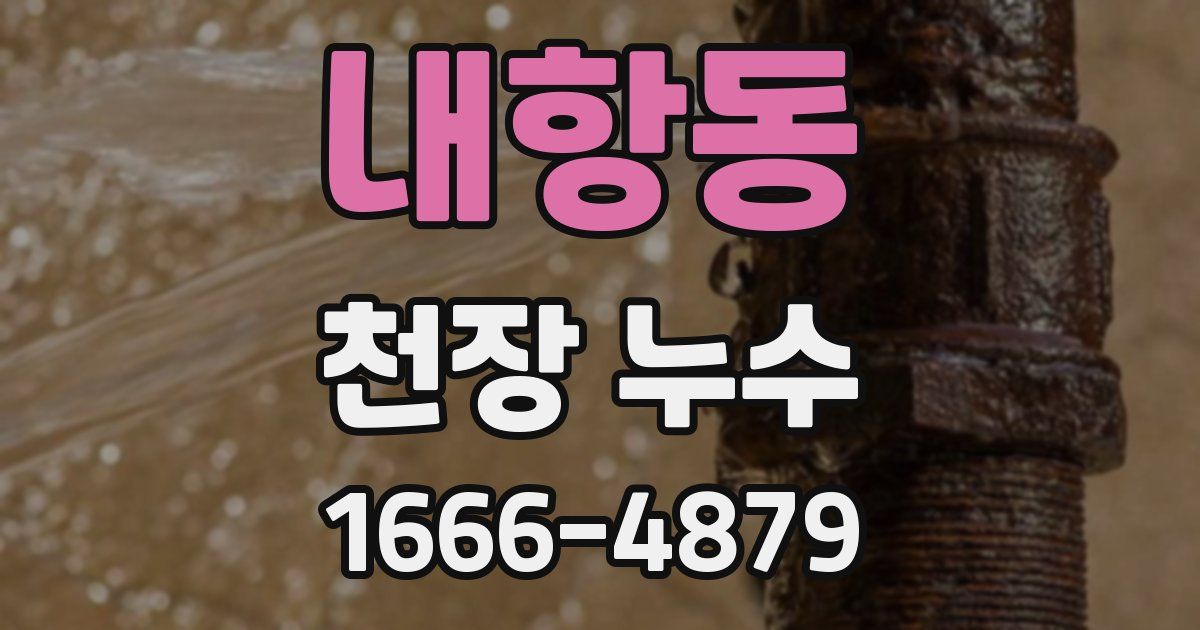 내항동 천장 누수