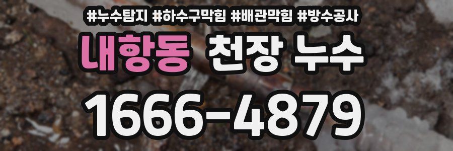 내항동 천장 누수