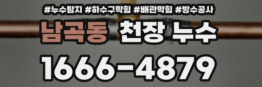 남곡동 천장 누수