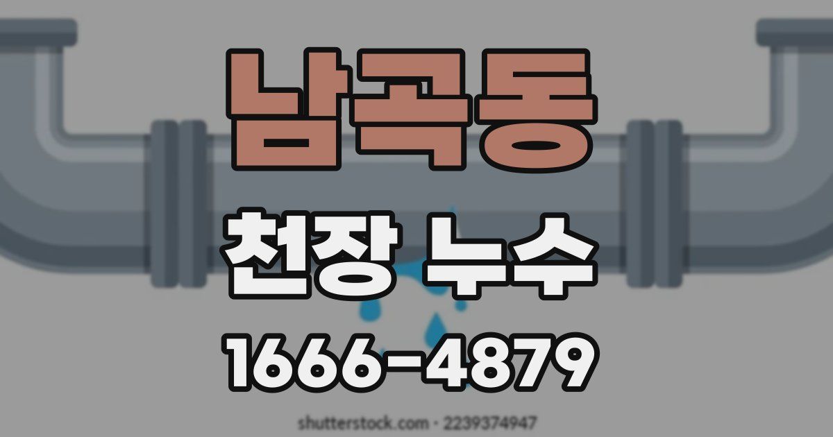 남곡동 천장 누수