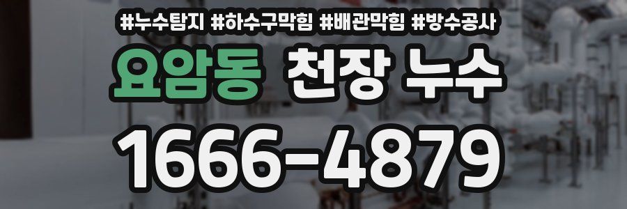 요암동 천장 누수