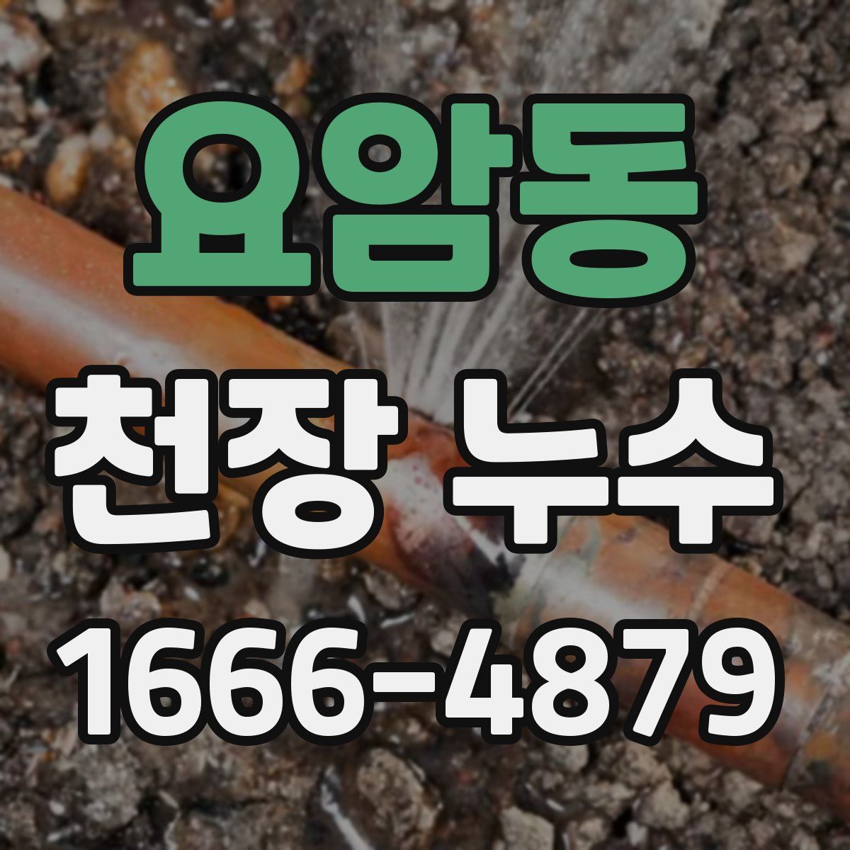 요암동 천장 누수