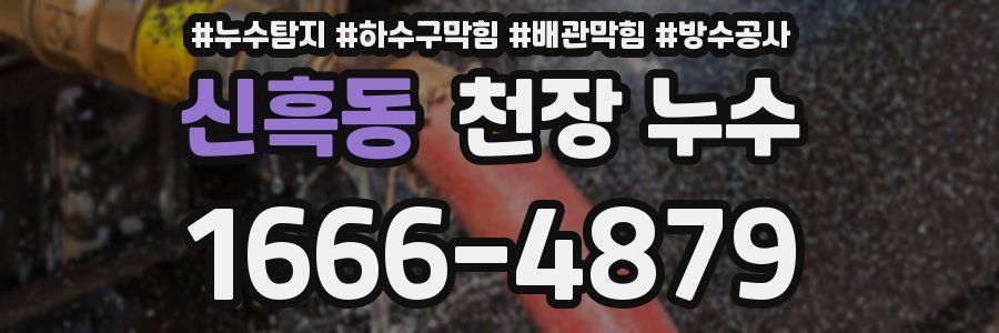 신흑동 천장 누수