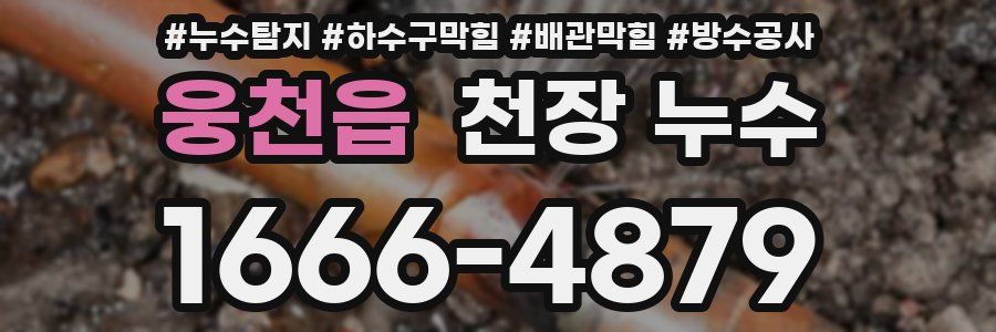웅천읍 천장 누수
