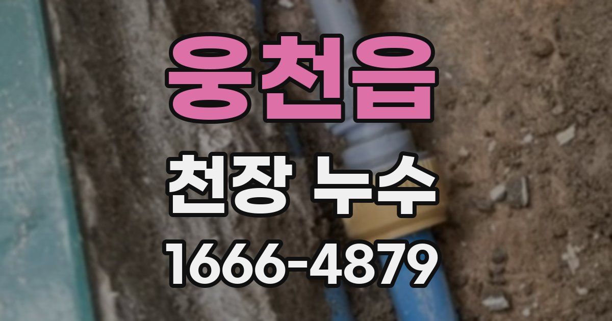 웅천읍 천장 누수