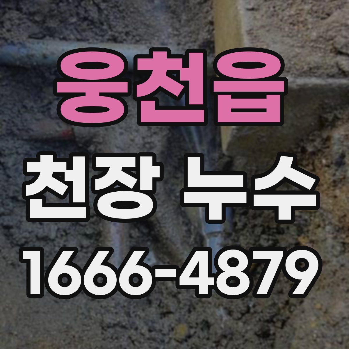 웅천읍 천장 누수
