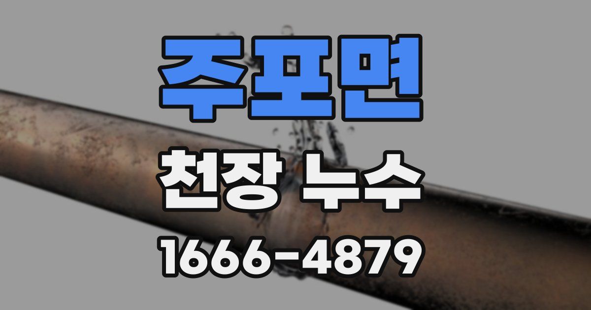 주포면 천장 누수