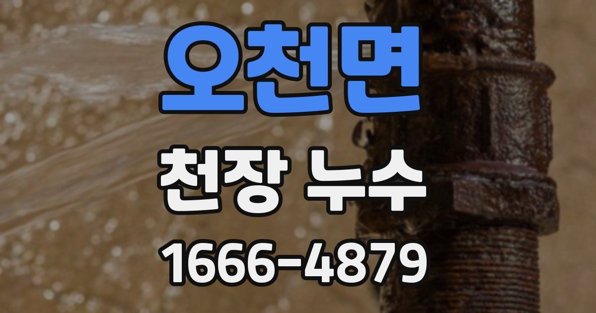 오천면 천장 누수