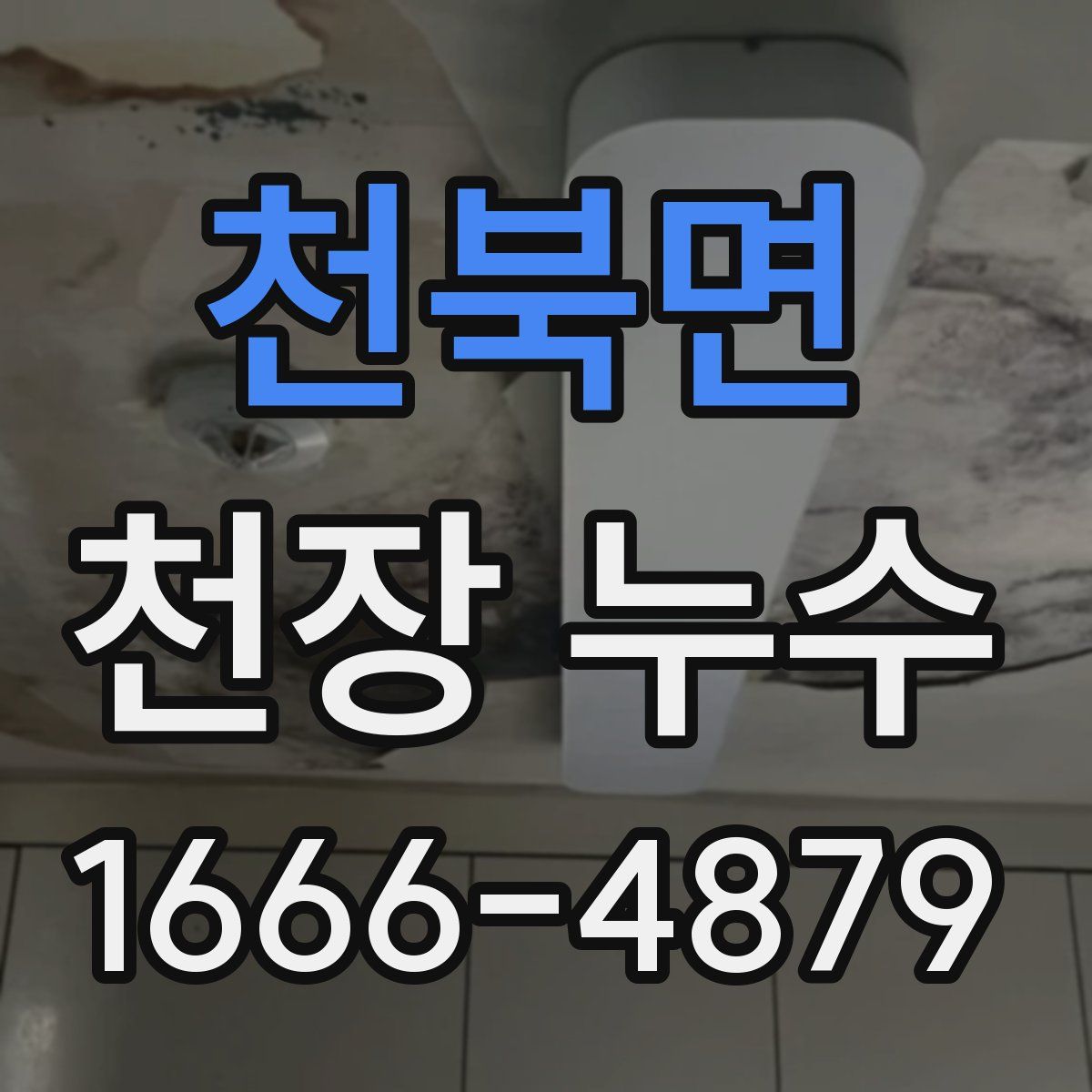 천북면 천장 누수