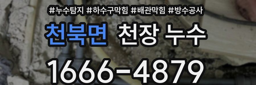 천북면 천장 누수