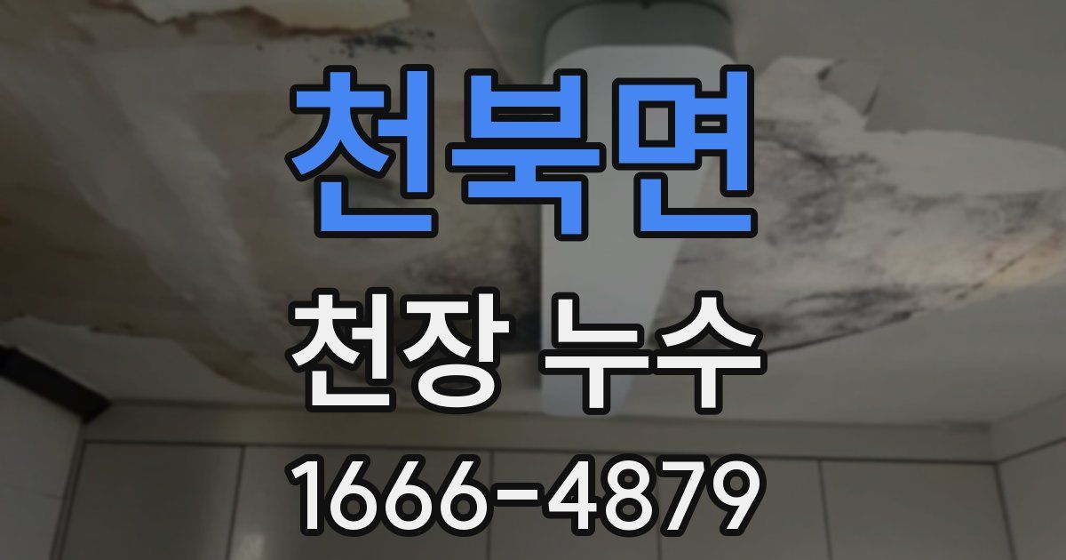 천북면 천장 누수