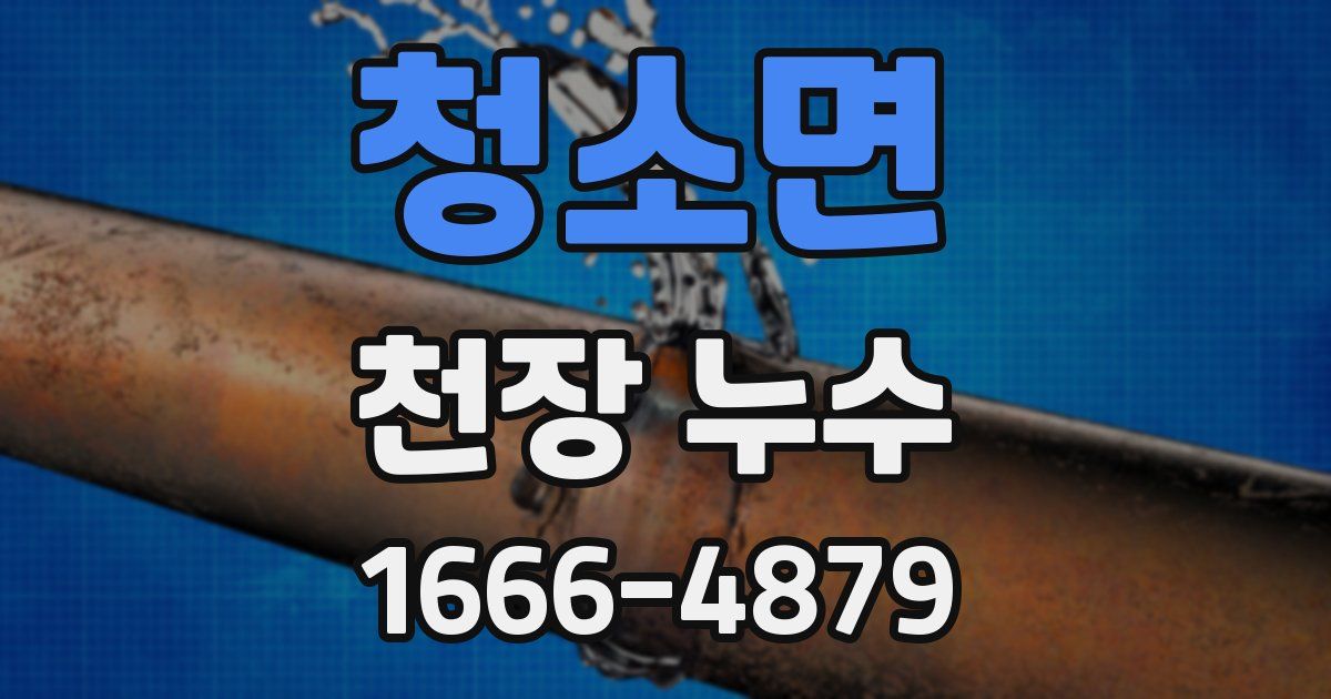 청소면 천장 누수
