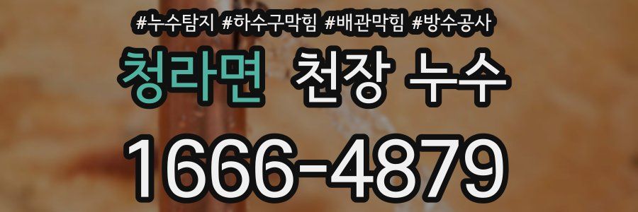 청라면 천장 누수