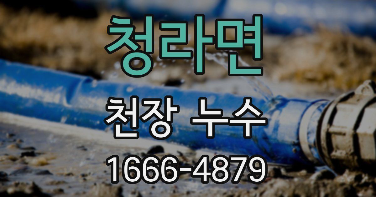 청라면 천장 누수