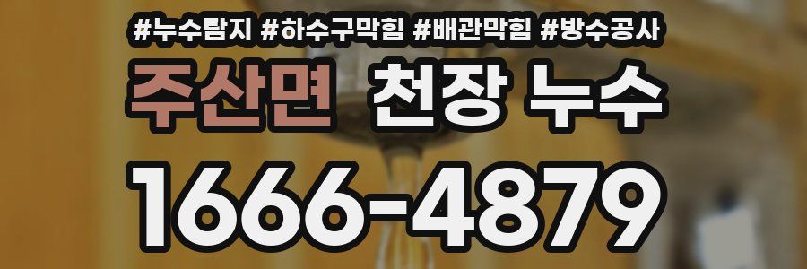 주산면 천장 누수