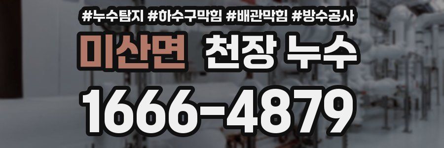미산면 천장 누수