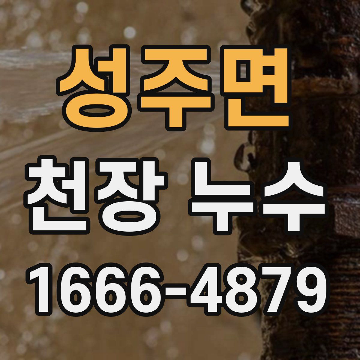 성주면 천장 누수