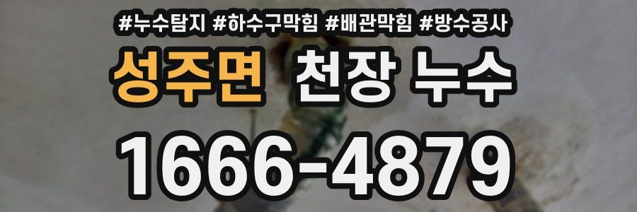 성주면 천장 누수