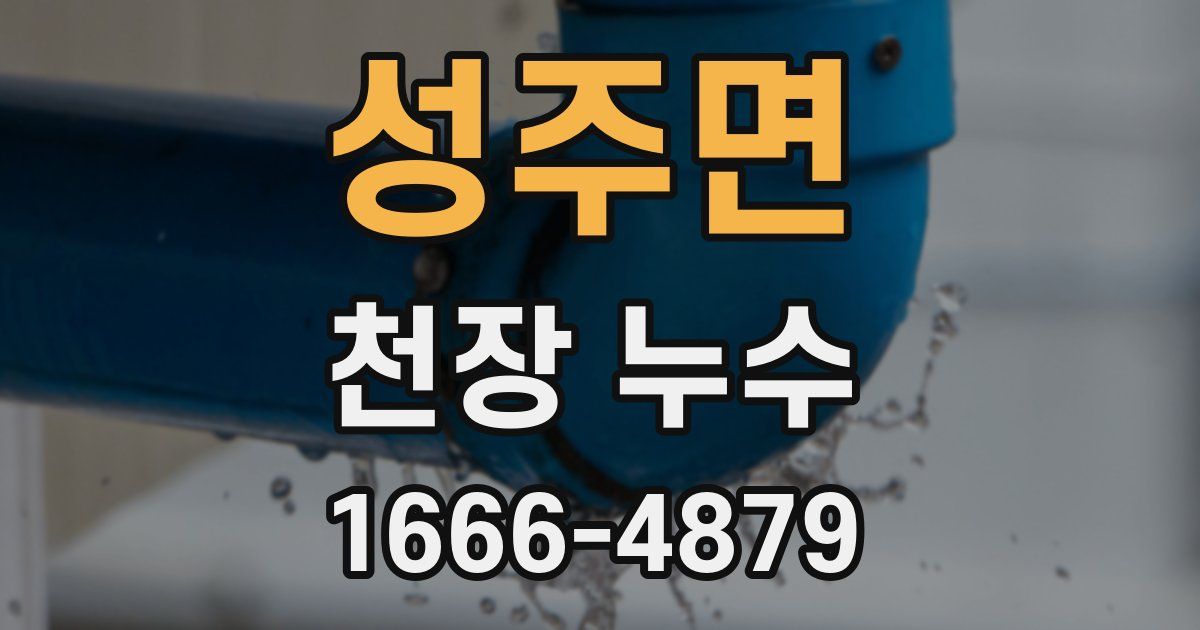성주면 천장 누수