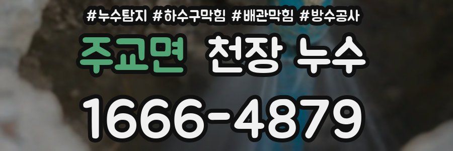 주교면 천장 누수