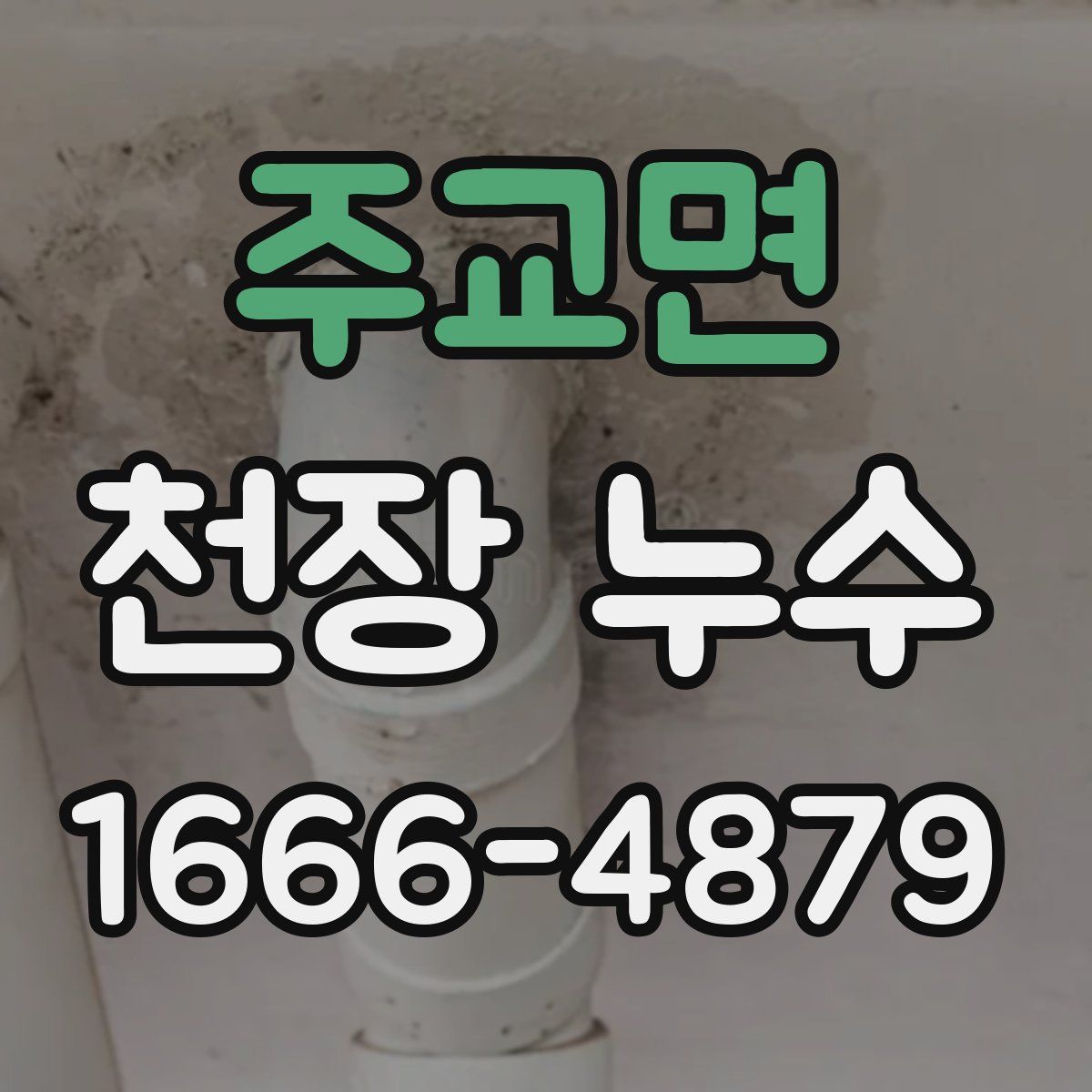 주교면 천장 누수