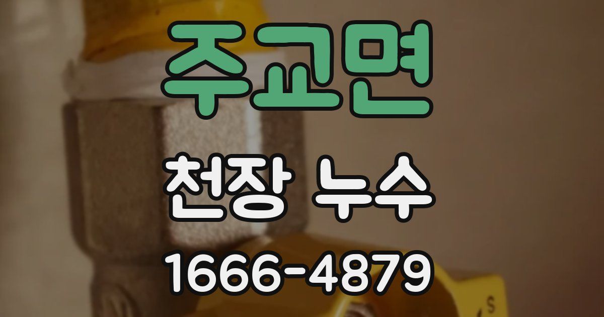 주교면 천장 누수