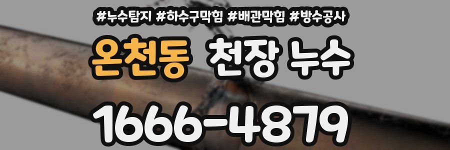온천동 천장 누수