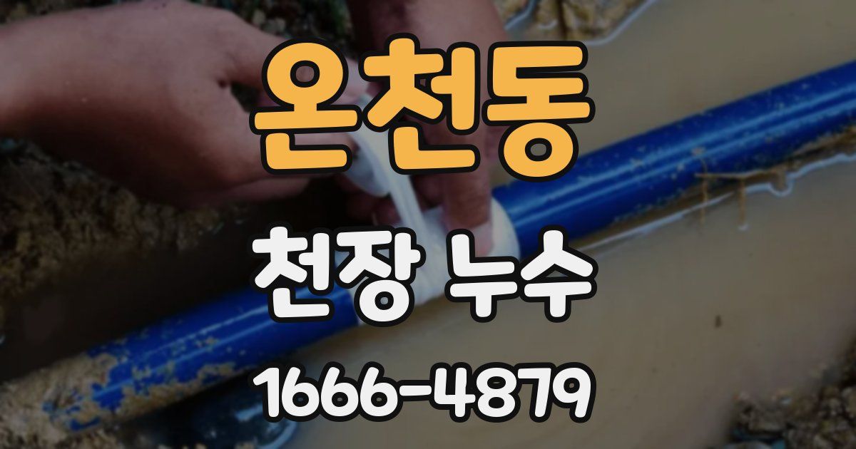 온천동 천장 누수