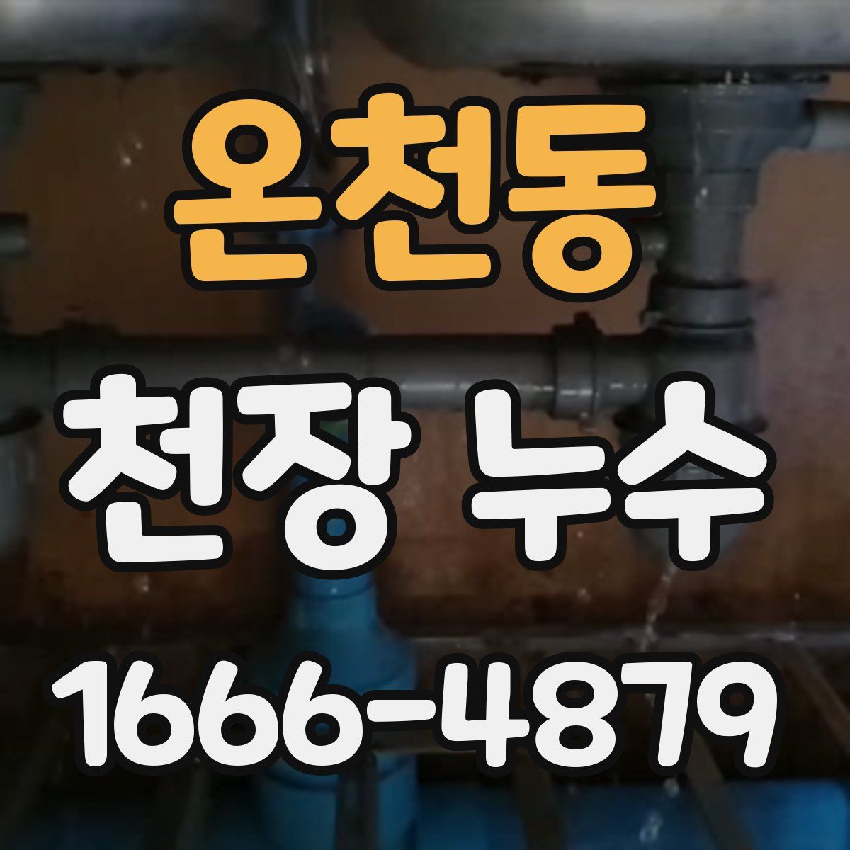 온천동 천장 누수