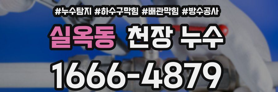 실옥동 천장 누수