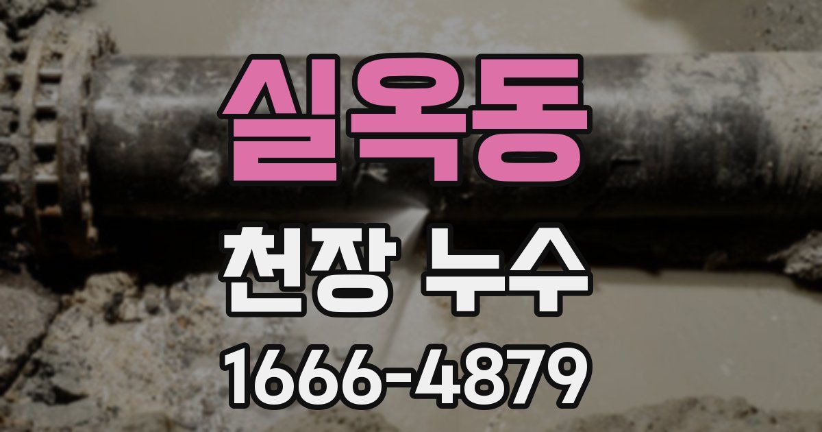 실옥동 천장 누수
