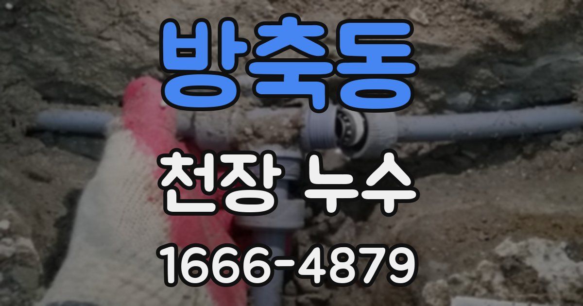 방축동 천장 누수