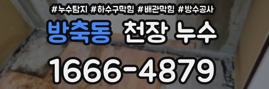방축동 천장 누수