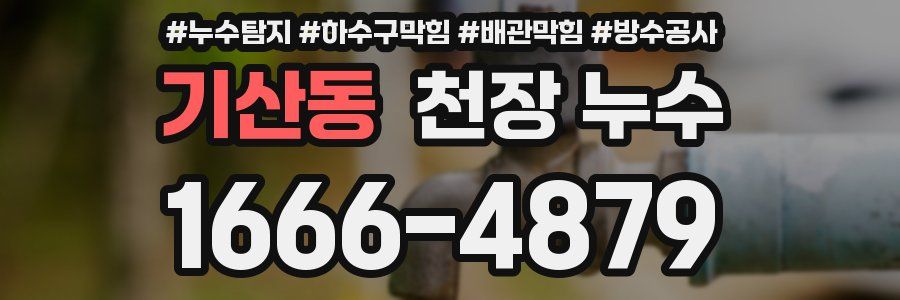 기산동 천장 누수