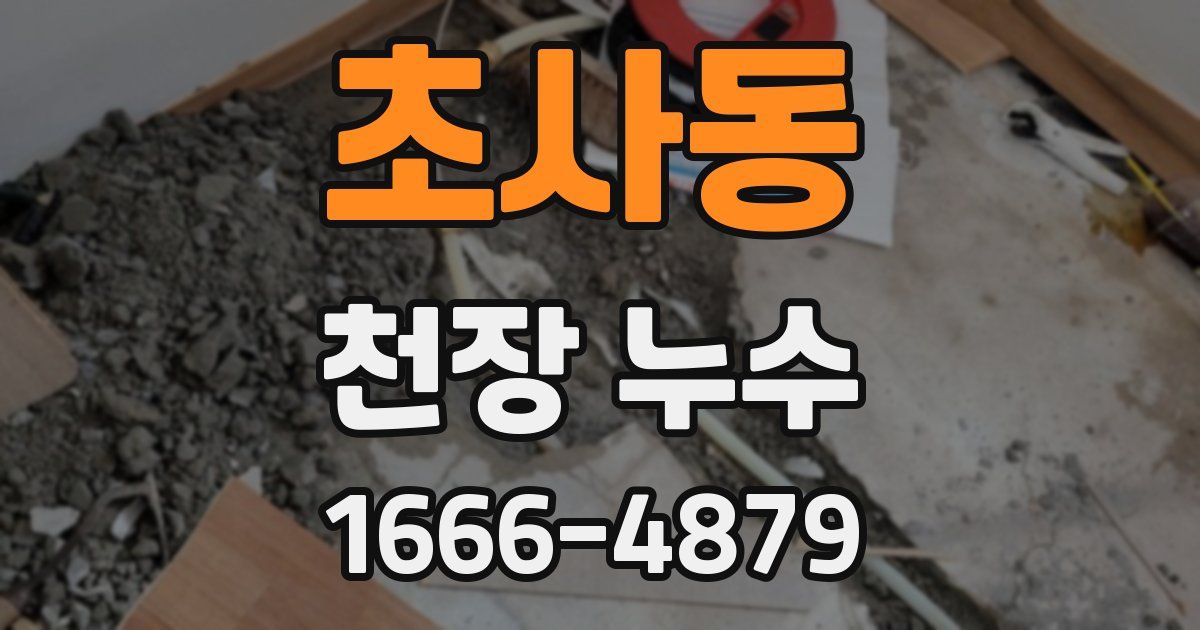 초사동 천장 누수