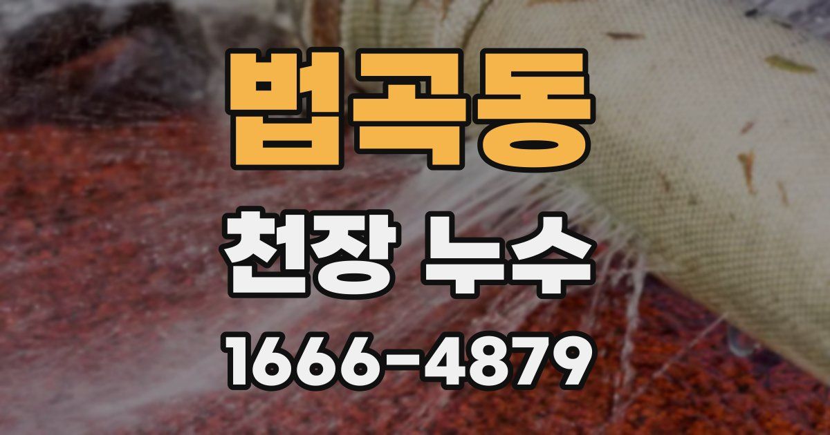법곡동 천장 누수