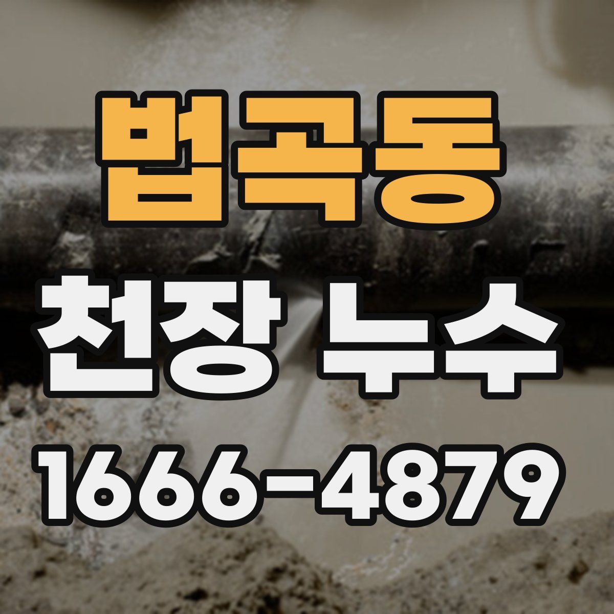 법곡동 천장 누수