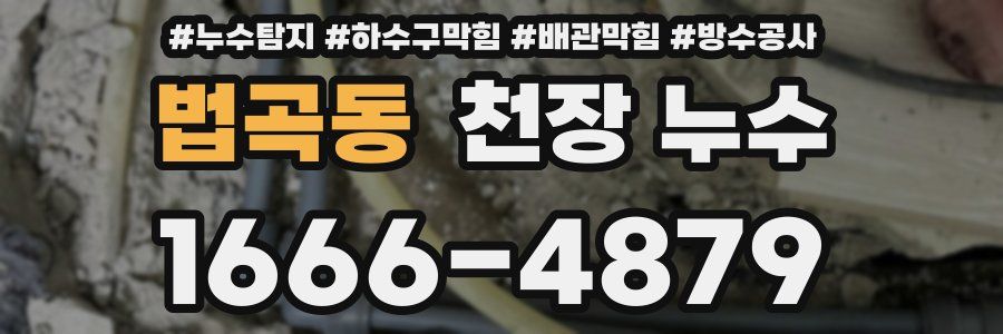 법곡동 천장 누수