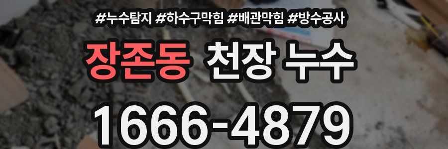 장존동 천장 누수
