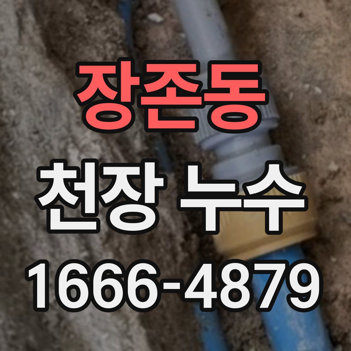장존동 천장 누수