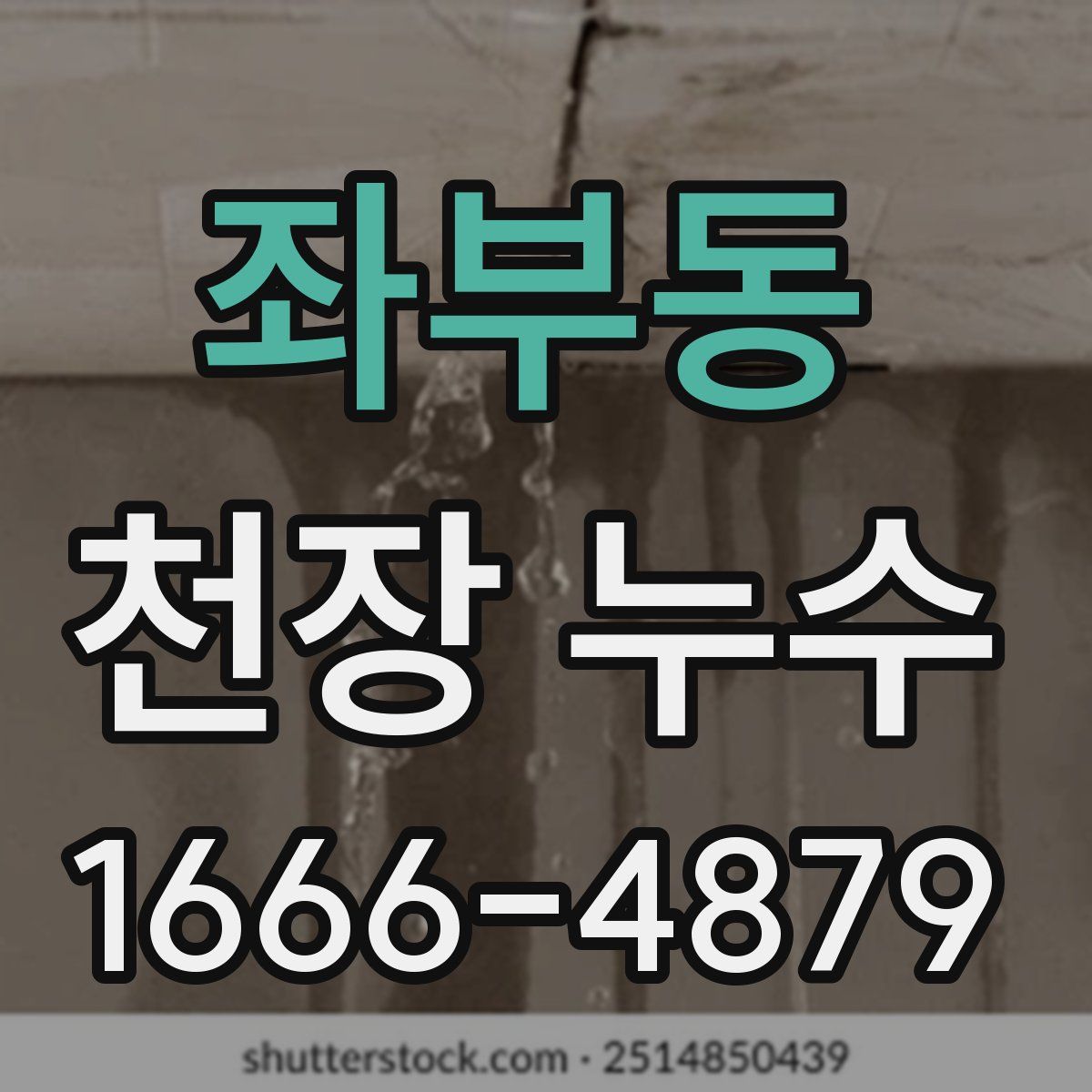 좌부동 천장 누수