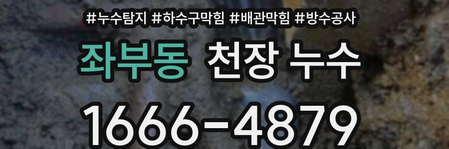 좌부동 천장 누수