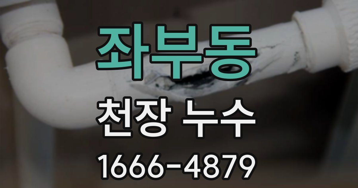 좌부동 천장 누수