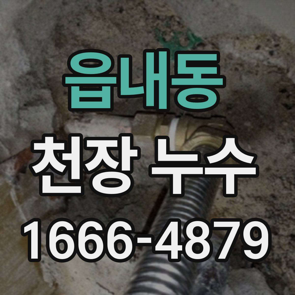 읍내동 천장 누수